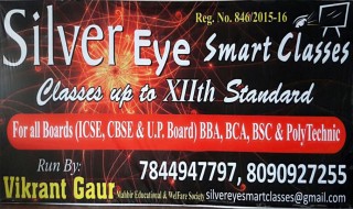 Silver Eye Smart Classes