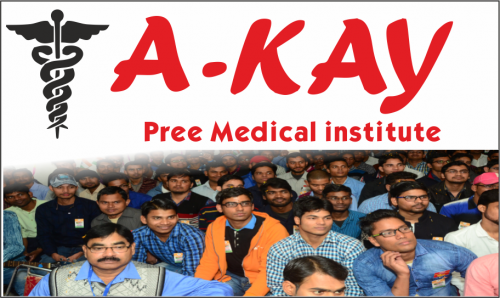 a kay institute